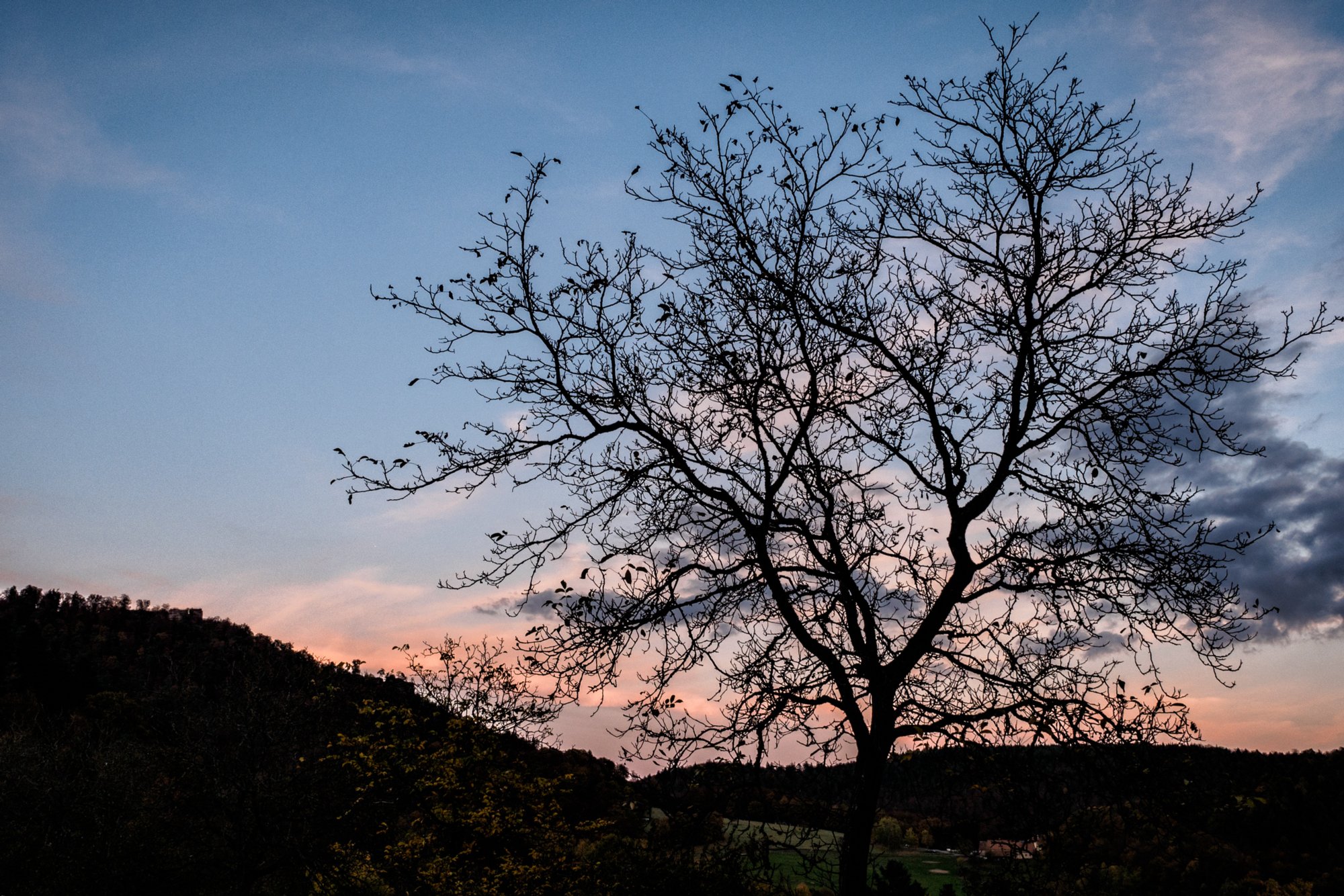 Gimbelhof Herbstwanderung vom Gimbelhof (Elsass) über den Löwenfelsen und Kastell Hohenbourg zur Ruine Wegelnburg. Von dort runter zur Burg Fleckenstein und wieder zurück zum Gimbelhof.