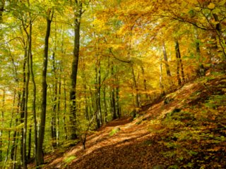 20161102_vier_burgen_tour_008-bearb