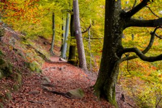 20161102_vier_burgen_tour_011-bearb