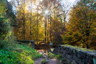 20161102_vier_burgen_tour_075-bearb