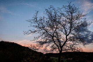 20161102_vier_burgen_tour_294-bearb