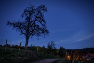 20161102_vier_burgen_tour_320-bearb